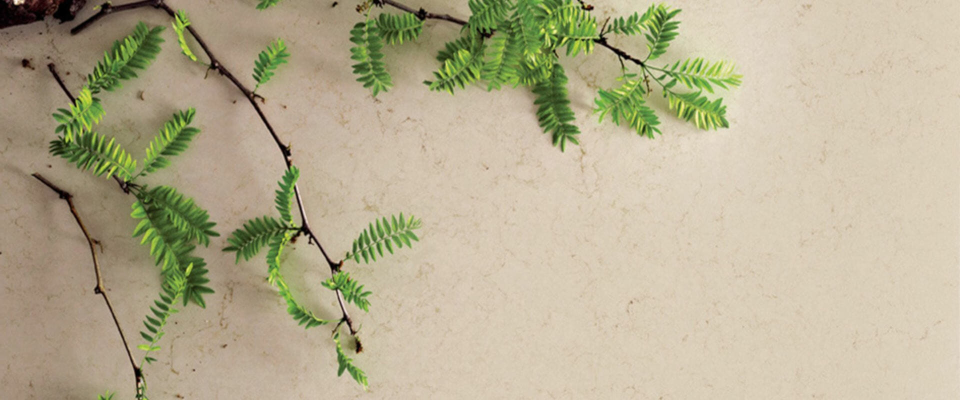 Caesarstone - Environmentally friendly