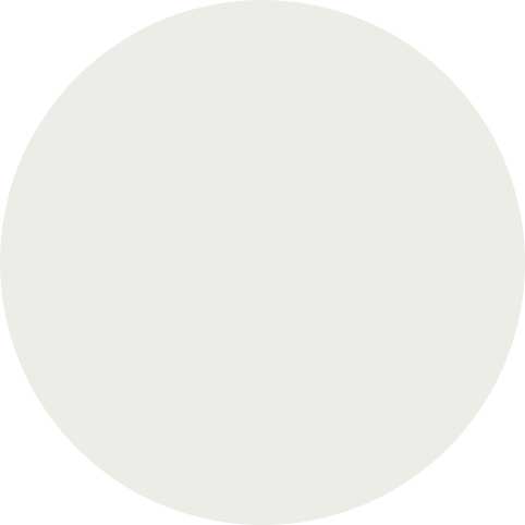 Caesarstone Porcelain Whitenna